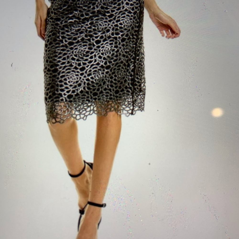 Gracia Lace Pencil Skirt